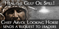 Heal the Oil Spill