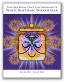 [6 Wizard Pocket Calendar Cover]