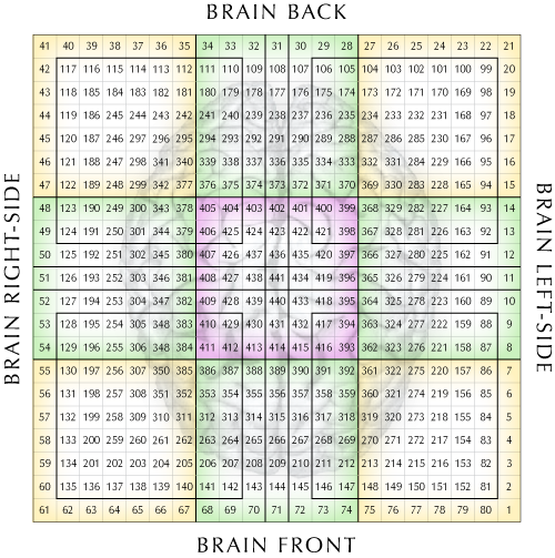 Showing 441 Matrix overlaid on the Human Brain