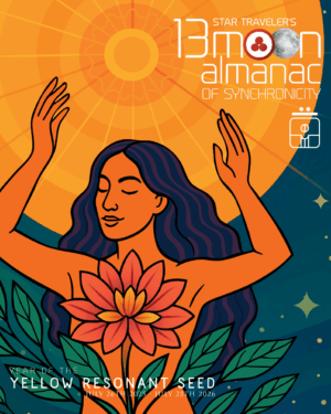 Star Traveler's 13 Moon Almanac of Synchronicity